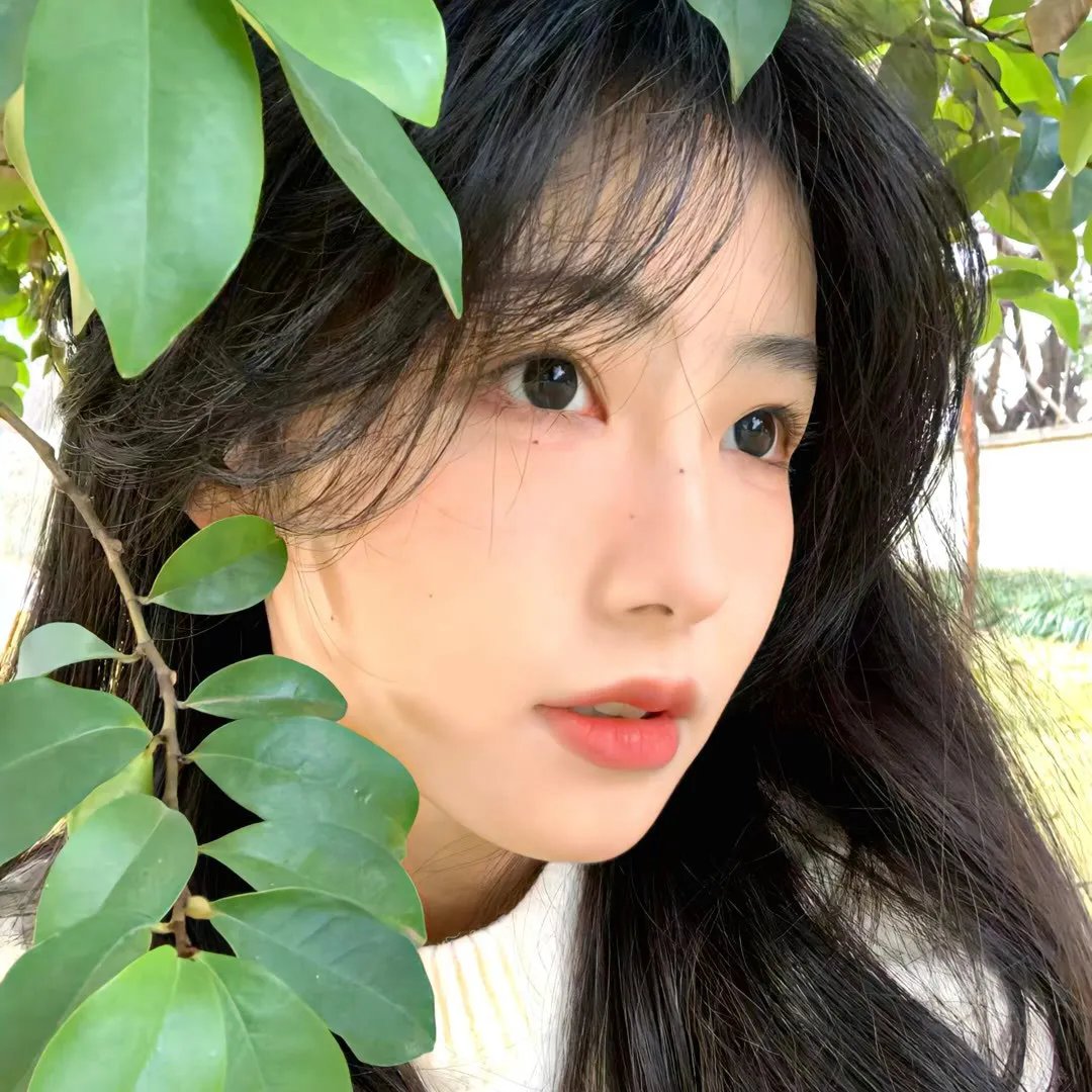 忍者舞娘